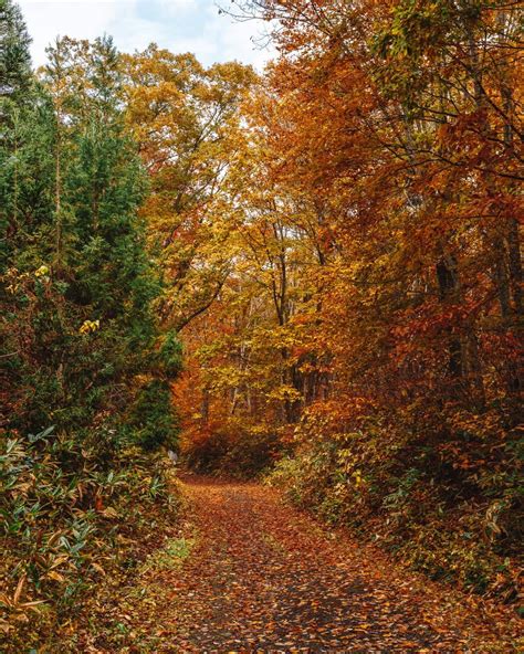 Japan Places 的图像结果