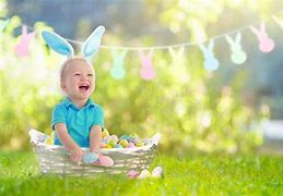 Image result for Baby Bunny Ears Plant