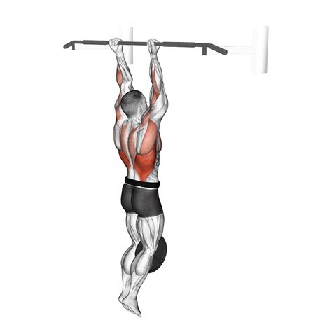 All Pull Up Workouts and Their Benefits - Bezzad