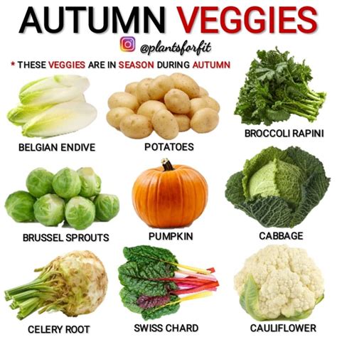 Fall Fruits And Vegetables List at Robin Clark blog