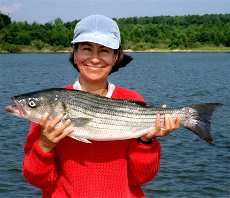 A Guide to Maryland Fishing Licenses - Two Crown Home Team