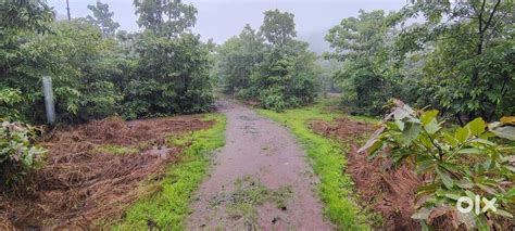 Road Touch Agriculture Land Sale in Mangaon Raigad - Lands & Plots in ...