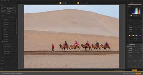 Image result for Nik Tutorial