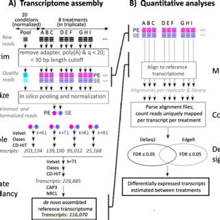 Image result for Transcriptome Assembly