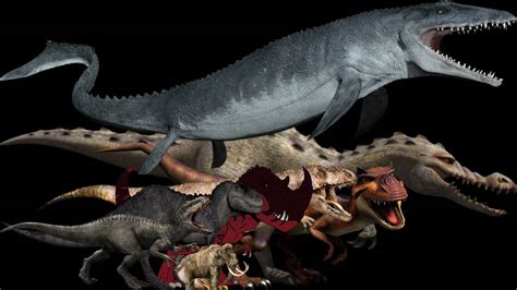 Bionic Size Comparison 的图像结果