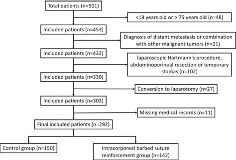 Image result for Selection Structure Python Flowchart