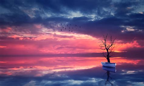 Download wallpaper the sky, water, landscape, sunset, birds, nature ...