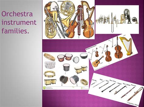 Orchestra Musical Instruments 的图像结果