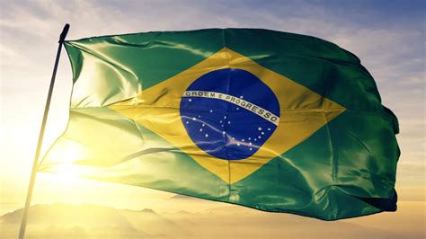 [100+] Brazil Flag Wallpapers | Wallpapers.com