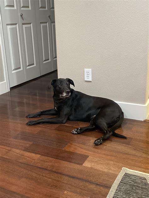 0 Lab 的图像结果