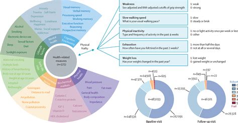 Associations of physical frailty with health outcomes and brain structure in 483 033 middle-aged ...