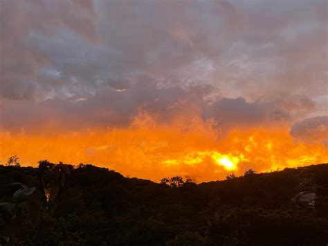 MONTEVERDE GUIDED TOUR (2025) All You Need to Know BEFORE You Go (with ...