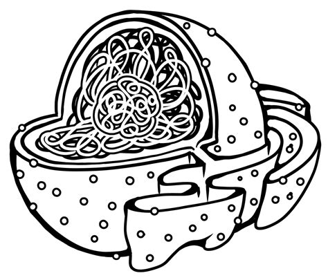 7+ Free Ribosom Underenhet & Nervous System Images - Pixabay