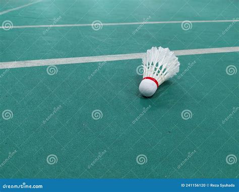Badminton Net Shuttle Cock 的图像结果