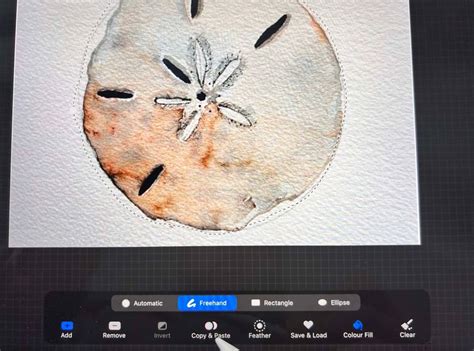 Image result for Remove Objects From Photo Procreate