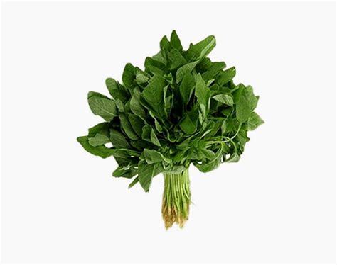 Organic Thotakura – OjasMantra