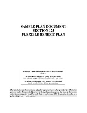 Sample Section 125 Plan Document - Fill and Sign Printable Template Online