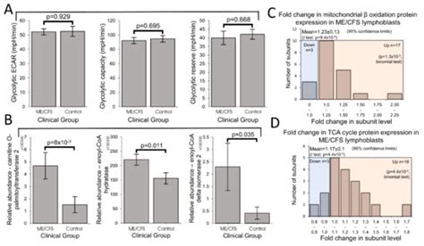 An Isolated Complex V Inefficiency and Dysregulated Mitochondrial ...