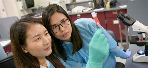 Medical Lab Assistant Course 的图像结果