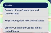 Flutter Log SVG 的图像结果