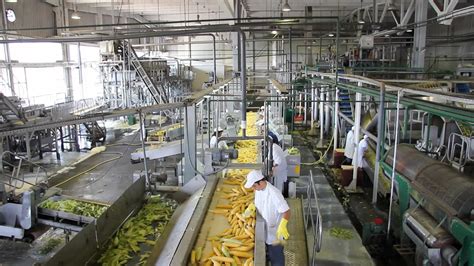 Assembly Line Food Production 的图像结果