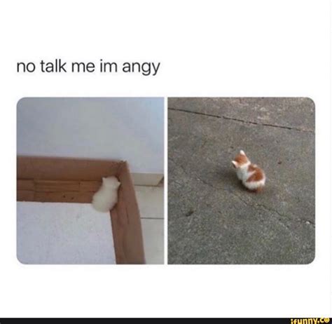 No talk me im angy - iFunny :) | Cute animal memes, I'm angy, Cute memes