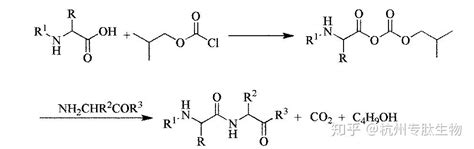 氨基和酮反应