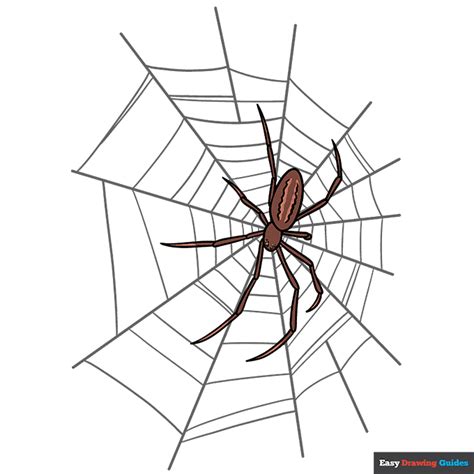 How to Draw a Spider Web with Spider - Really Easy Drawing Tutorial
