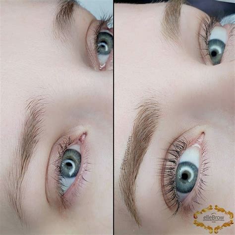 Image result for Combination Brows vs Microblading
