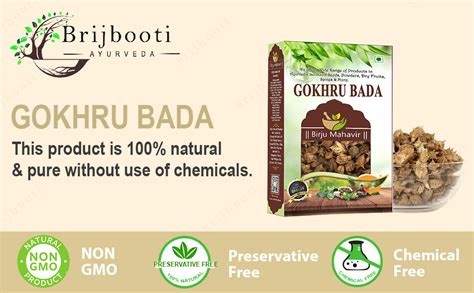 Buy Birju Mahavir Gokhru Bada - Pedalium Murex - Large Caltrops ...
