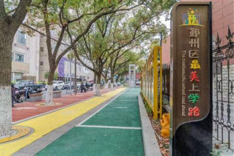 《学习强国》：宁波职业技术学院：揭秘创新全国的浙江首例——宁波“最美上学路”背后的故事