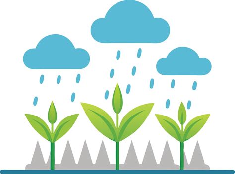 How Plants Help In Bringing Rain: The Science Of Forest Hydrology