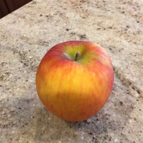 Honeycrisp Apples Nutrition