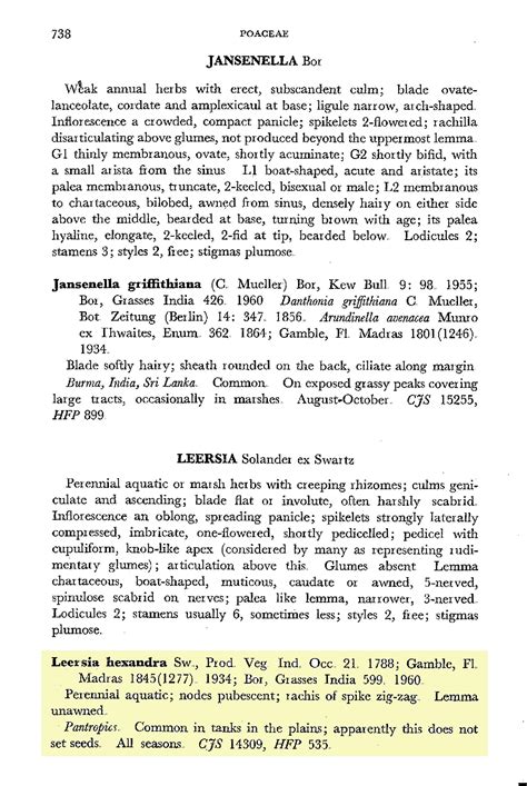 Herbarium JCB