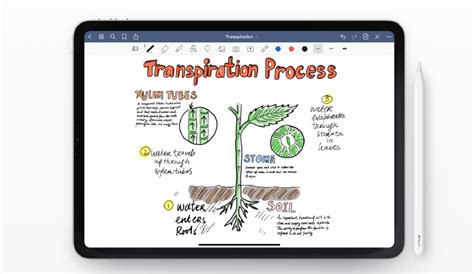 Image result for Good Notes App 5