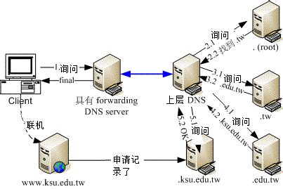 鸟哥的 Linux 私房菜 -- DNS Server