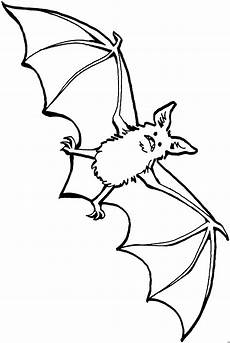 fledermaus ausmalbilder zum ausdrucken aengstliche fledermaus 2 ausmalbild malvorlage tiere fledermaus ausmalbilder zum ausdrucken aengstliche fledermaus 2 ausmalbild malvorlage tiere