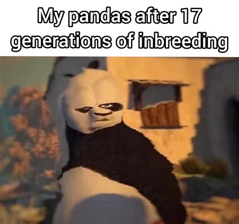 Panda With Down Syndrome