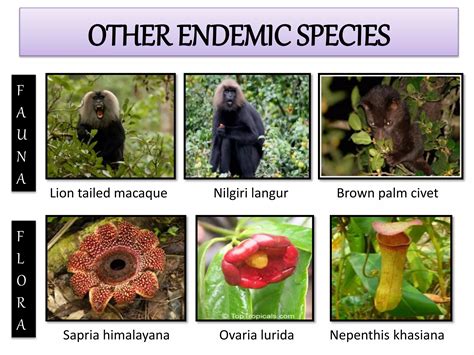 Endangered and Endemic species of India | PPTX