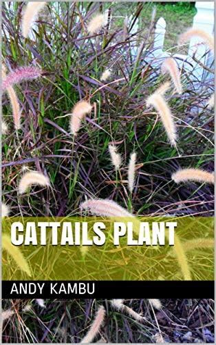 Cattails Plant eBook : Kambu, Andy: Amazon.in: Kindle Store