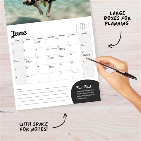 Fun Pugs Dog Calendar 2025 - Large 12 Month 2025 Wall India | Ubuy