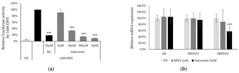 Hair Thickness Growth Effect of Adenosine Complex in Male-/Female ...