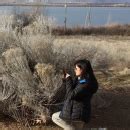 iNaturalist in the Outdoors | FWS.gov