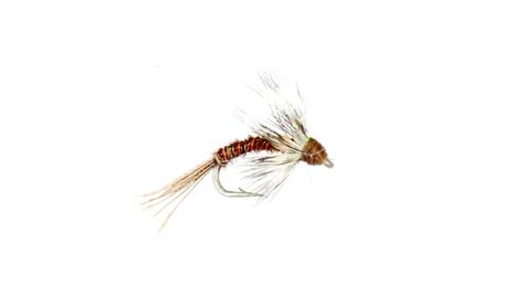 Image result for Emerger Fly Pattern