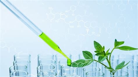 biological 的图像结果