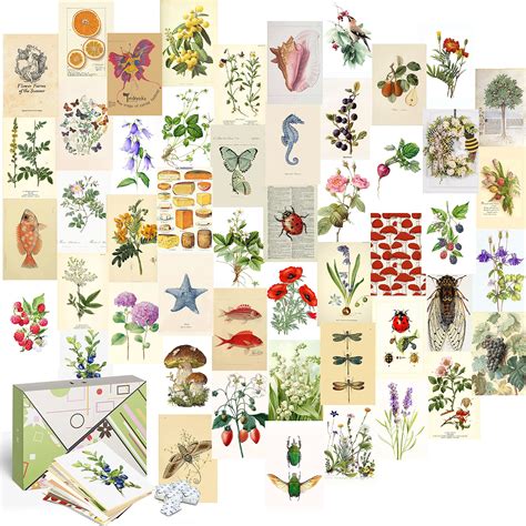 Buy KOLL DECOR Aesthetic Wall Collage Kit Vintage for Wall Decor - 50 ...