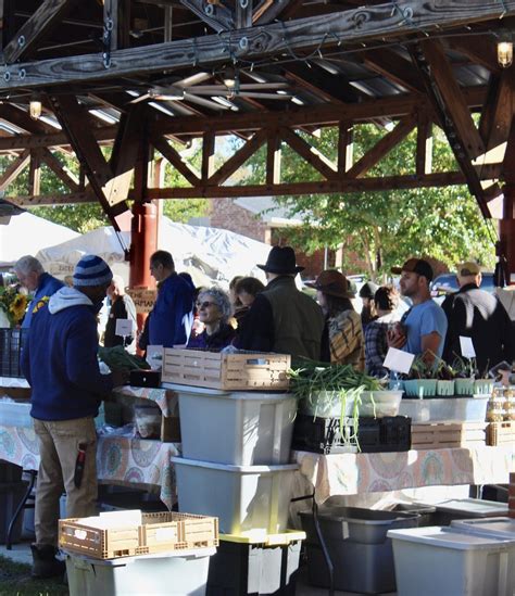Local Farmers 的图像结果