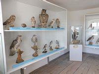 FALKENHOF SCHLOSS ROSENBURG (2026) All You Need to Know BEFORE You Go ...