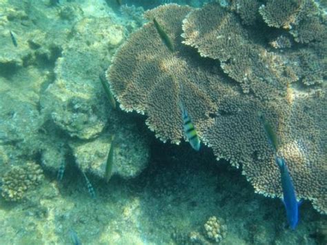 Pulau Lang Tengah Tourism: All You Need to Know Before You Go (2025)