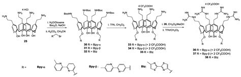 Functionalized Calixarenes as Promising Antibacterial Drugs to Face ...